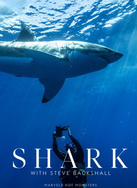 Сериал Shark with Steve Backshall