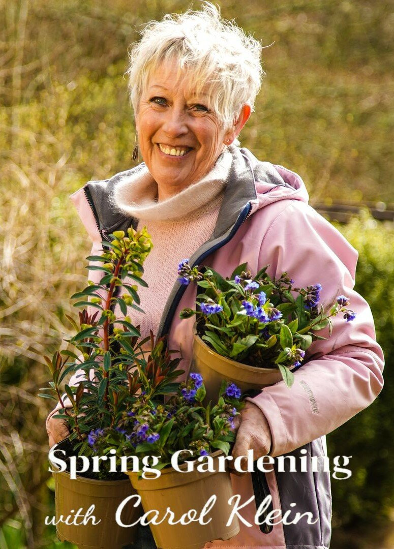 Show Spring Gardening with Carol Klein