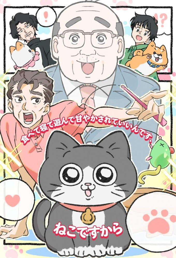 Аниме Старик, перевоплотившийся в кота 