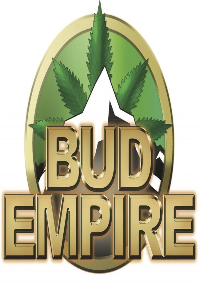 Сериал Bud Empire