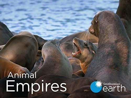 Сериал Animal Empires
