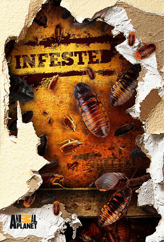 Сериал Infested!