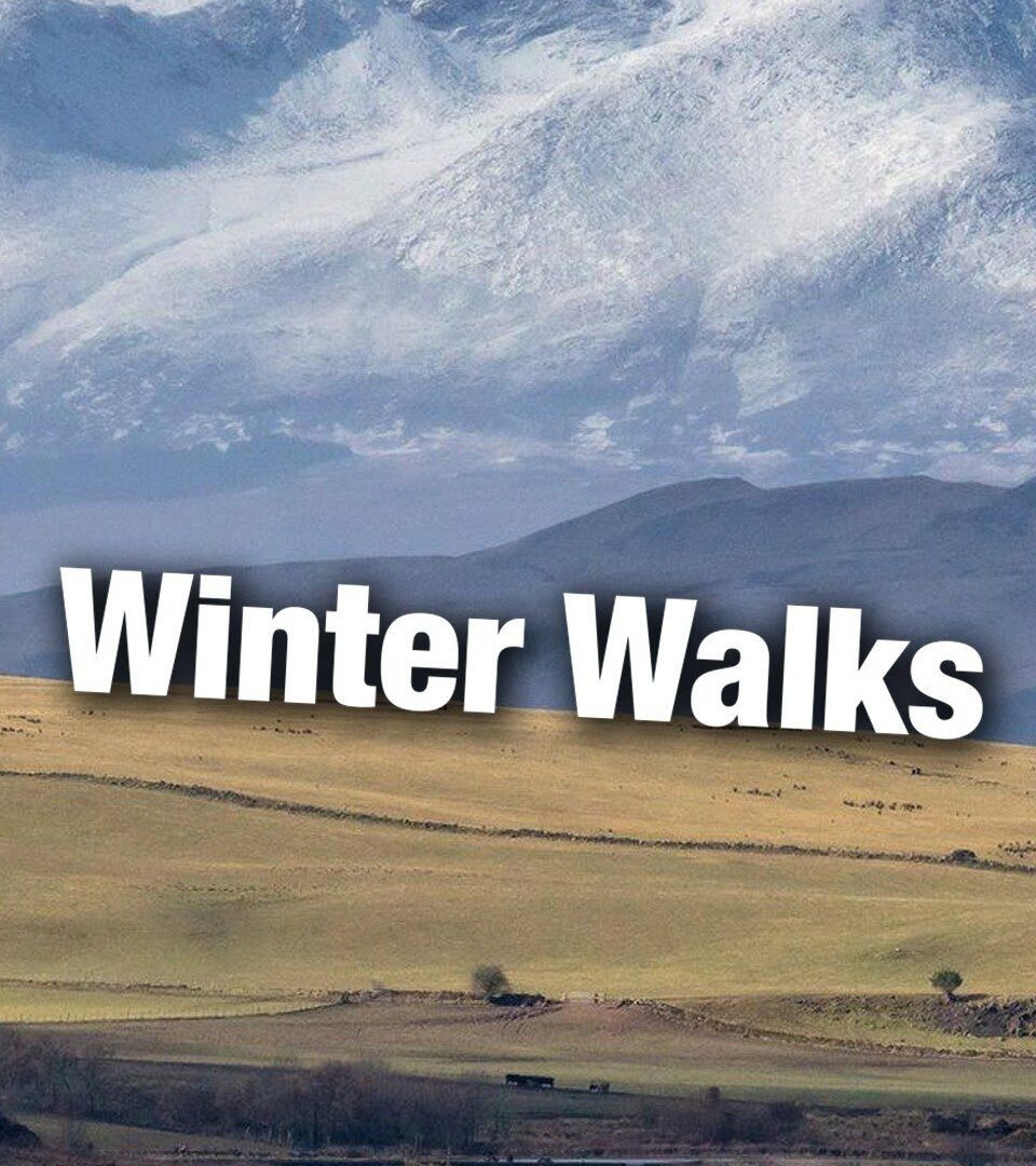 Сериал Winter Walks