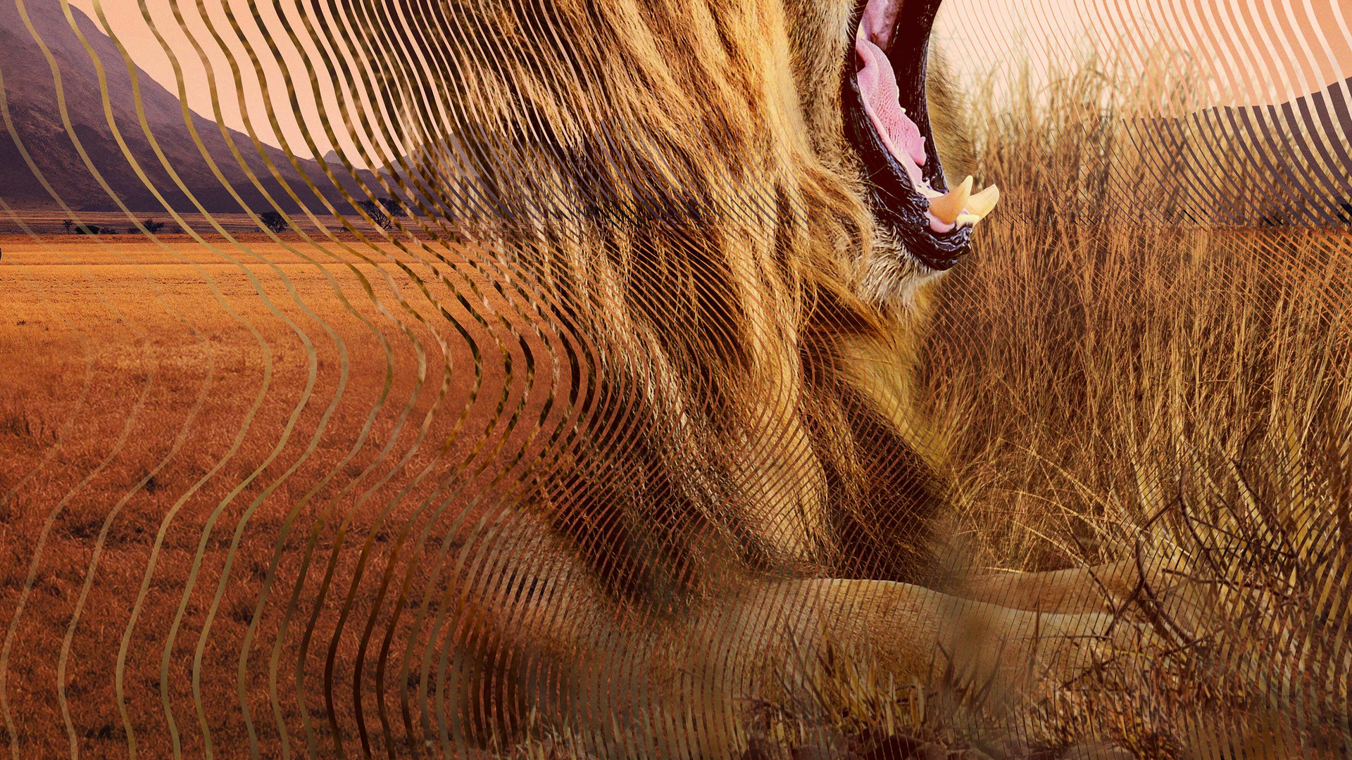 Show Secret World of Sound