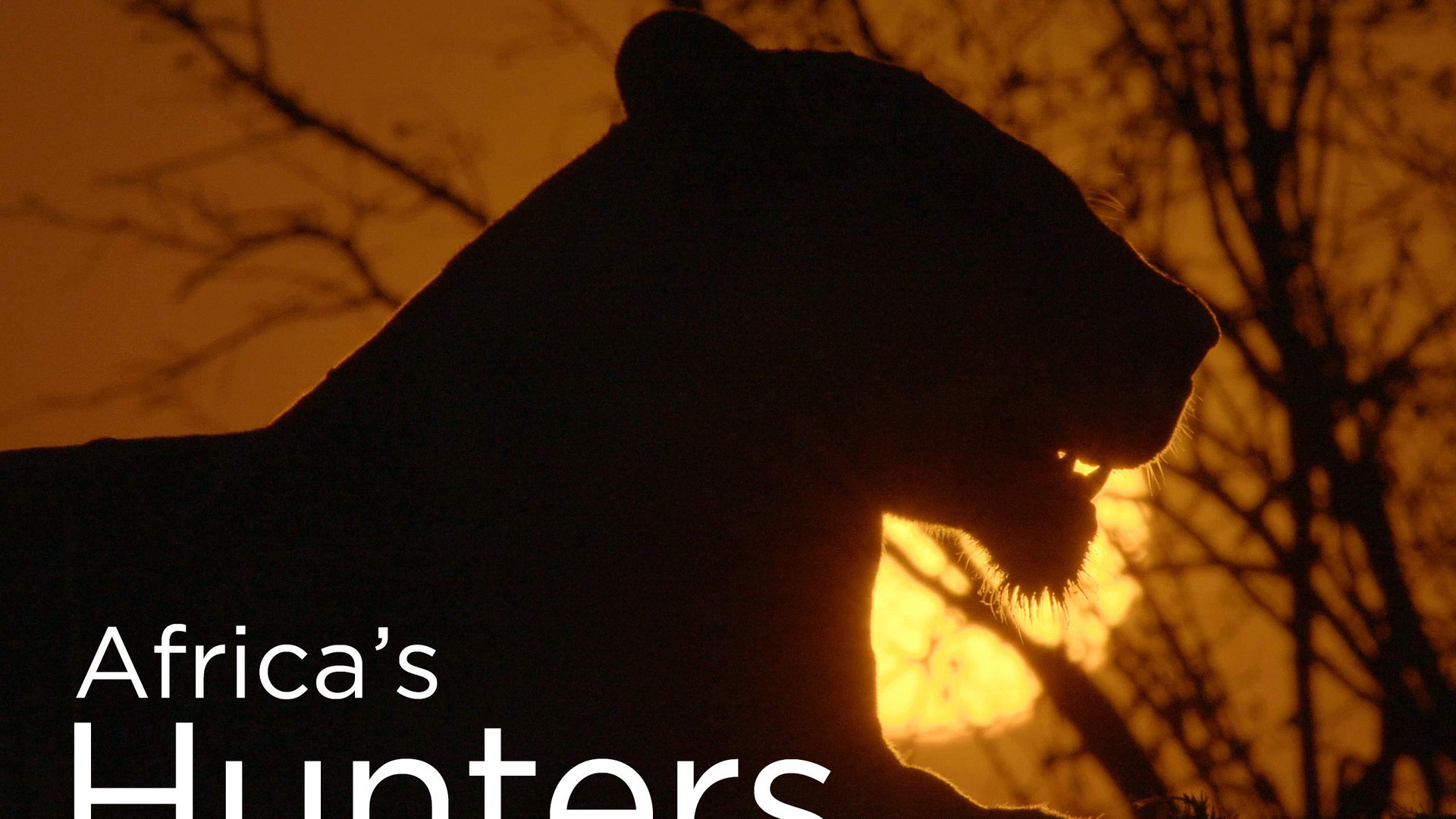 Show Africa's Hunters