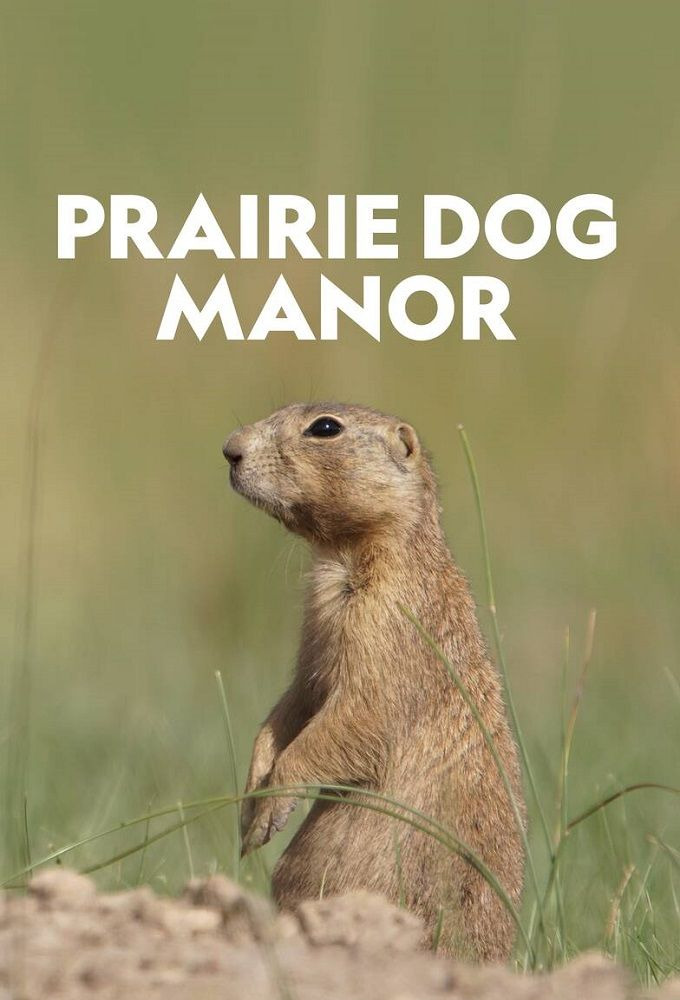 Show Prairie Dog Manor