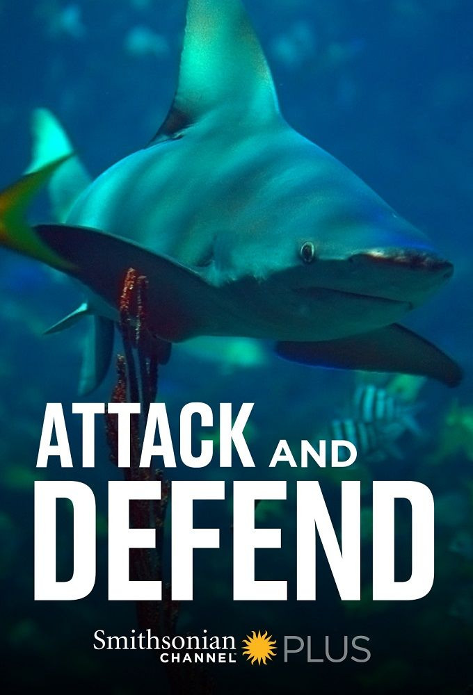 Сериал Attack and Defend