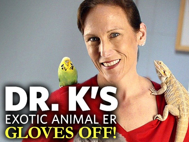 Сериал Dr. K's Exotic Animal ER: Gloves Off!