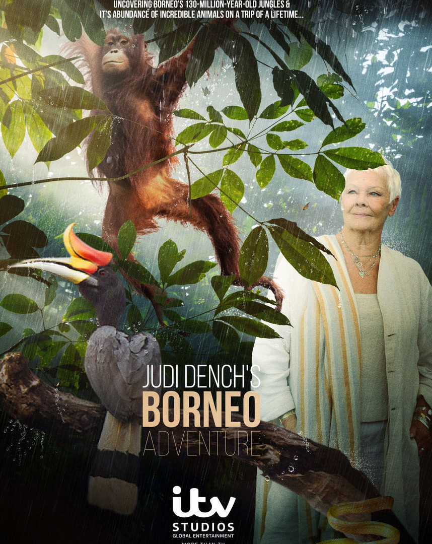 Сериал Judi Dench's Wild Borneo Adventure