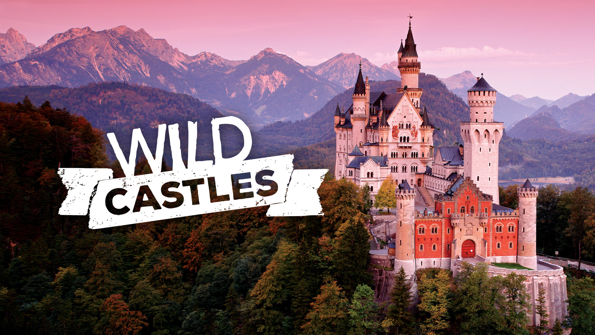 Show Wild Castles