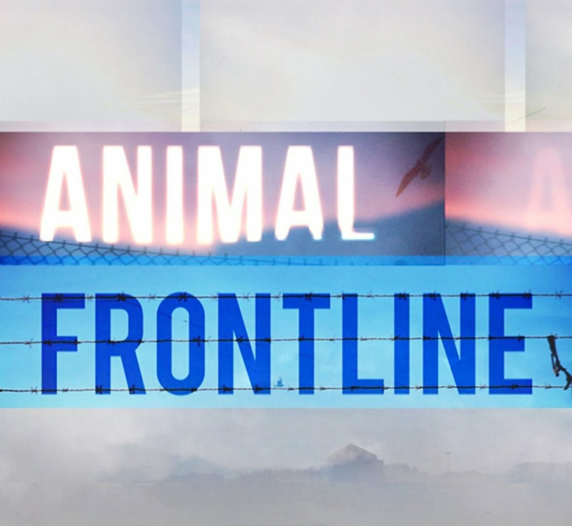 Show Animal Frontline
