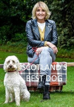 Show Scotland's Best Dog