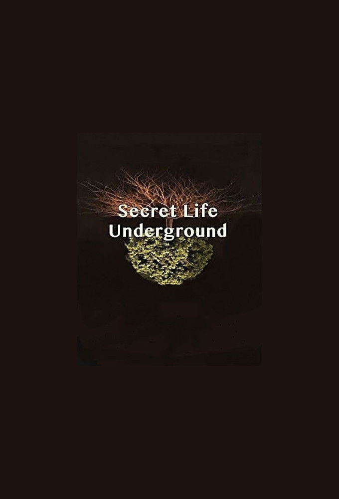 Сериал Secret Life Underground