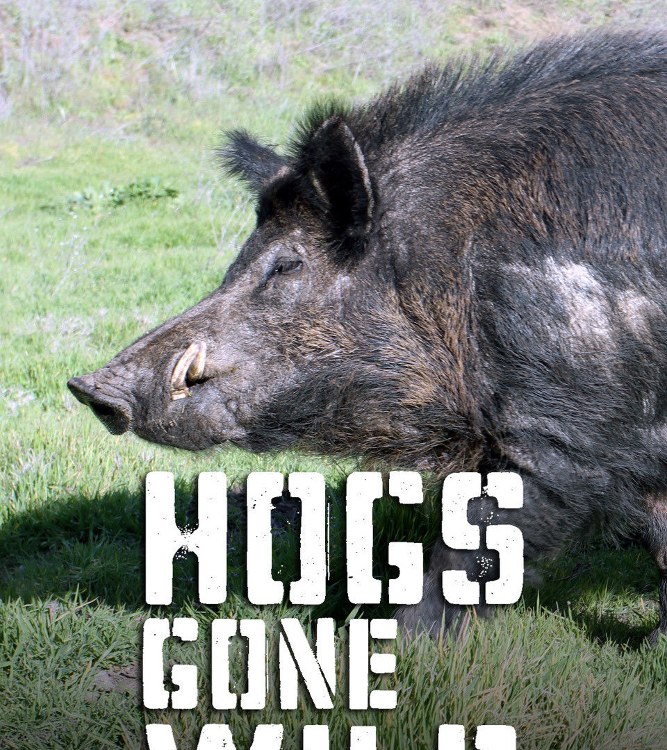 Сериал Hogs Gone Wild