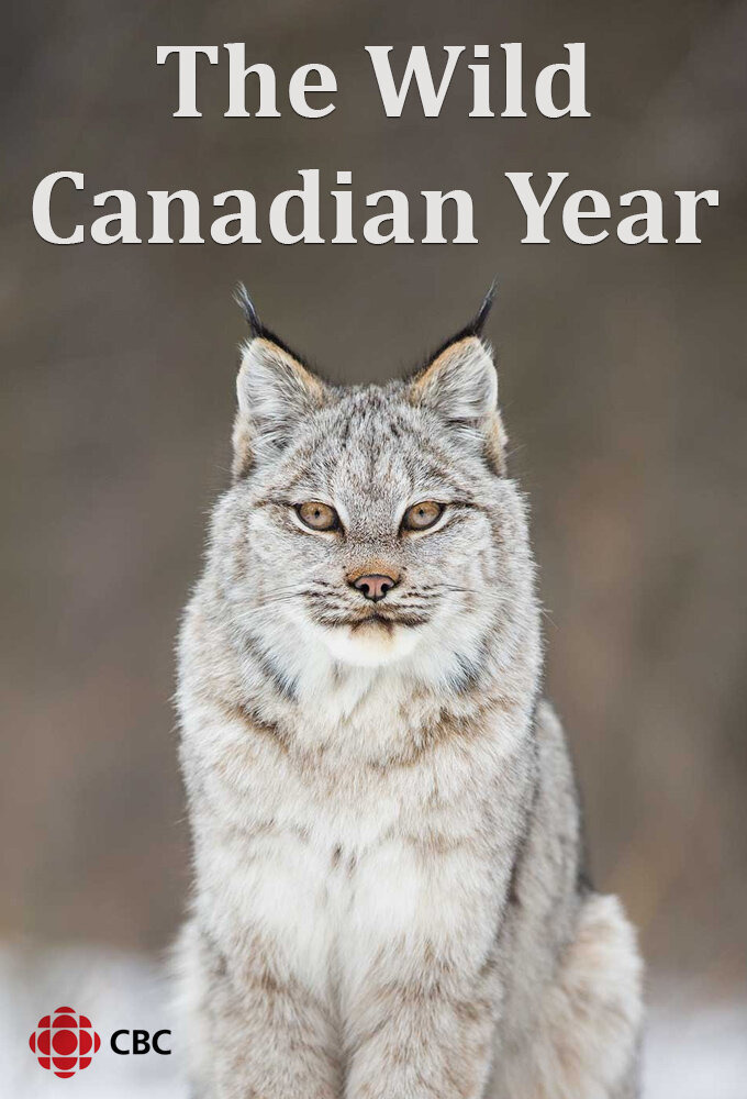 Сериал The Wild Canadian Year