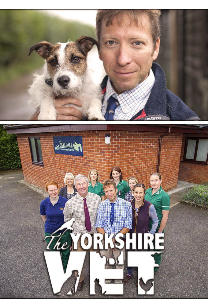 Сериал The Yorkshire Vet
