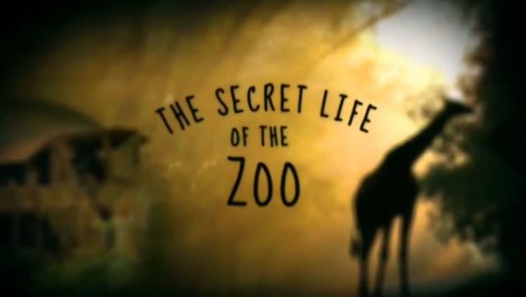 Сериал Тайная жизнь зоопарка