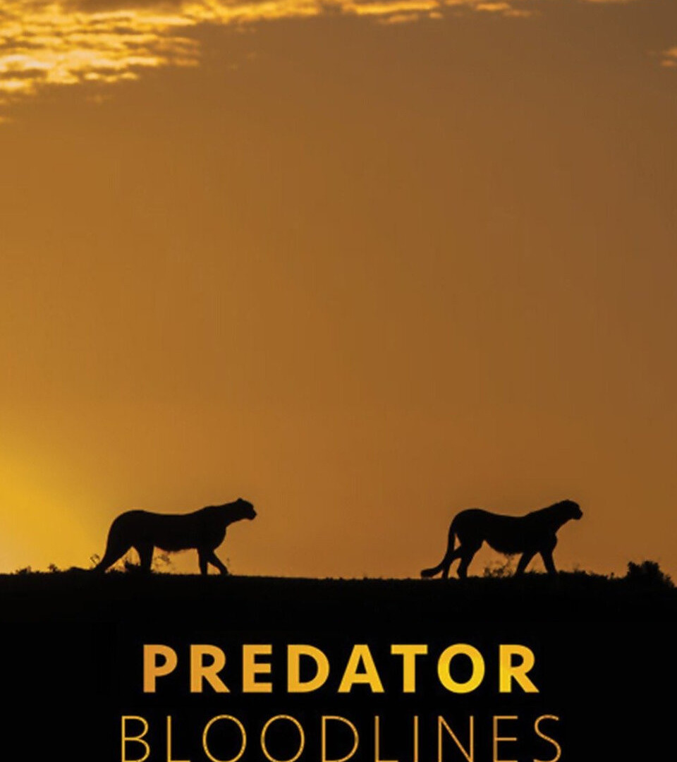 Сериал Predator Bloodlines