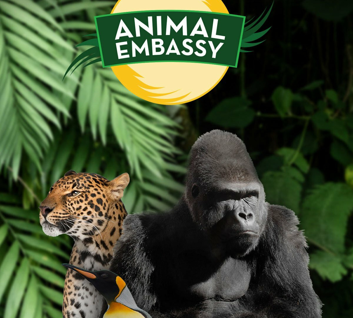 Show Animal Embassy