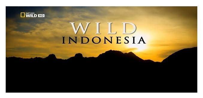Сериал Destination Wild: Indonesia