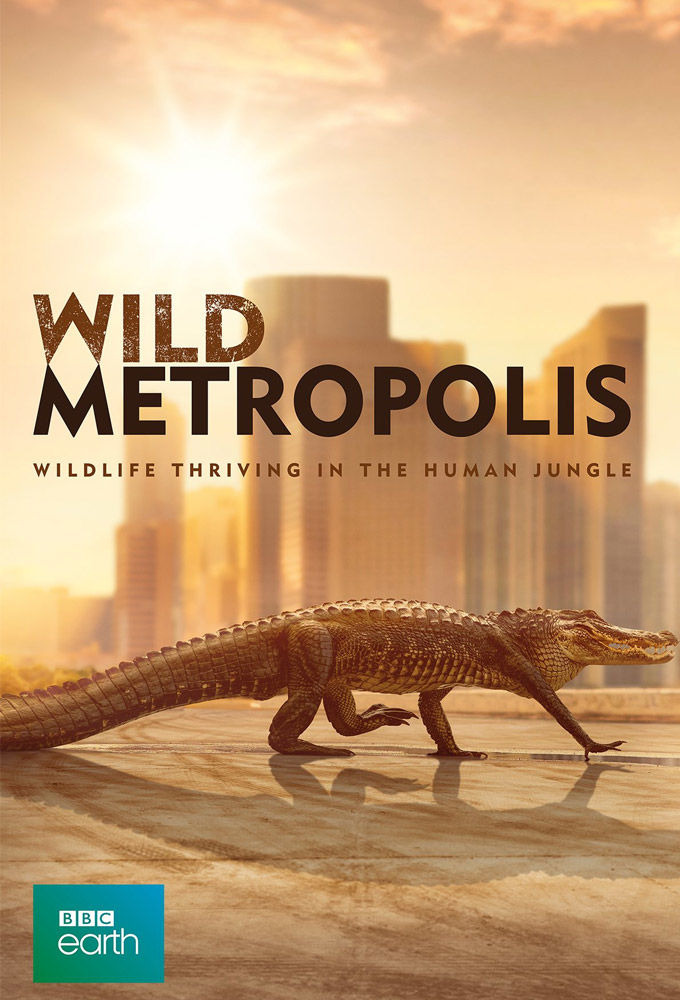Show Wild Metropolis