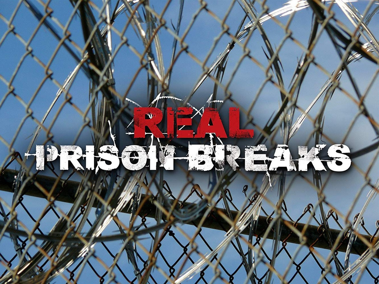 Сериал Real Prison Breaks