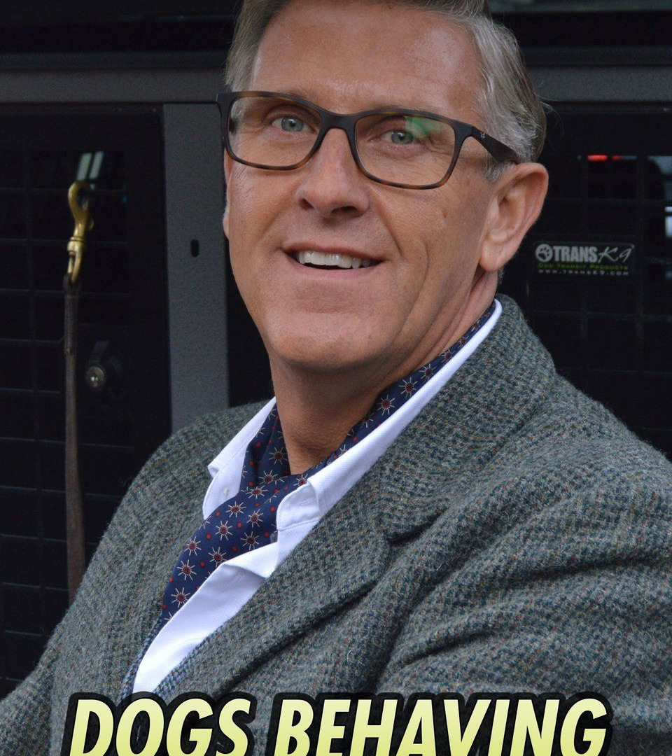 Сериал Dogs Behaving (Very) Badly
