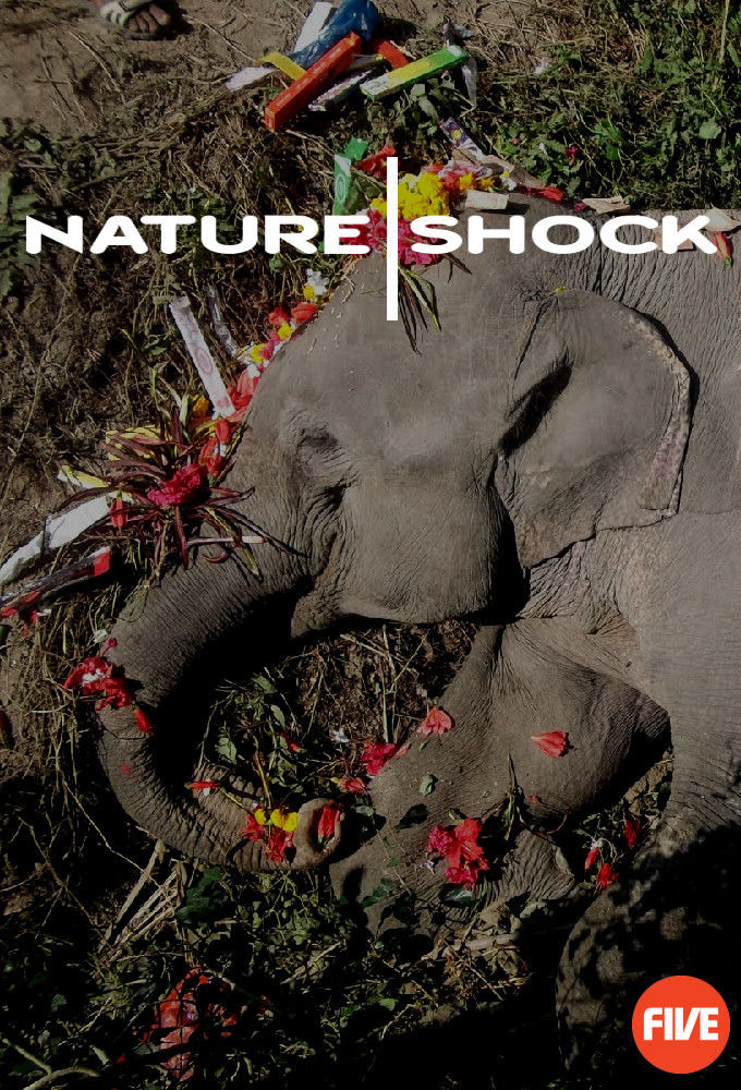Show Nature Shock