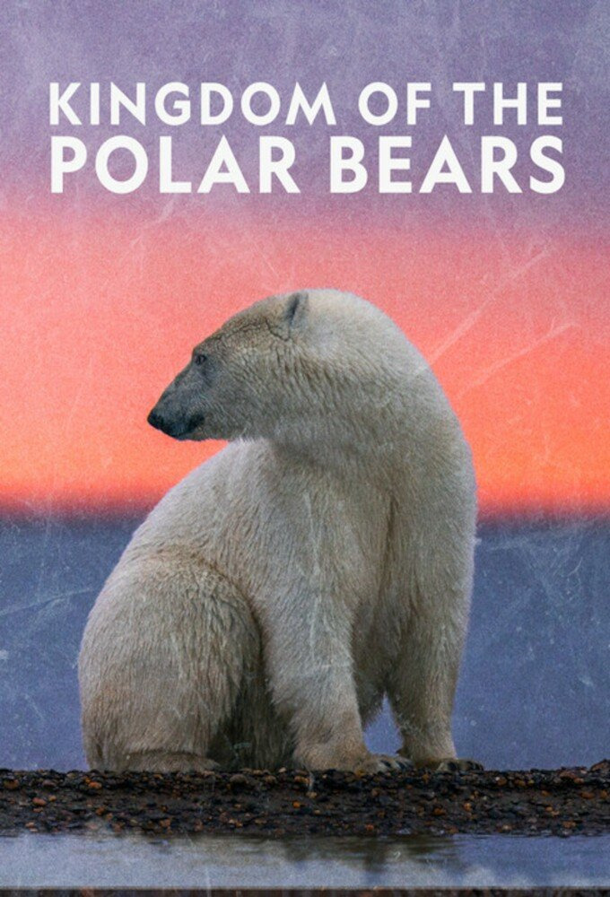 Сериал Kingdom of the Polar Bears