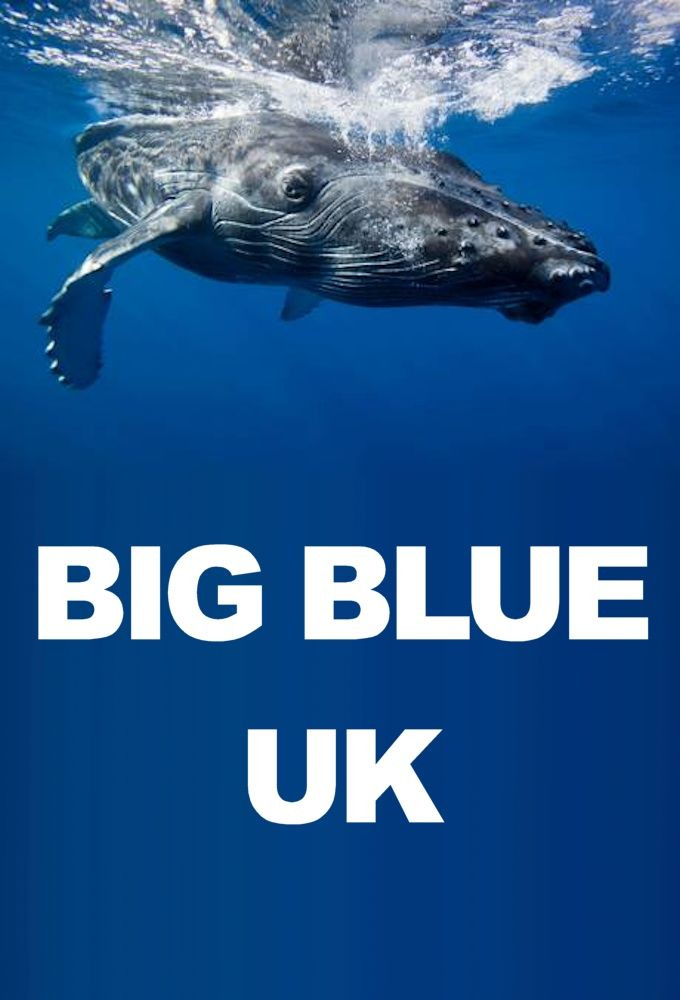 Сериал Big Blue UK