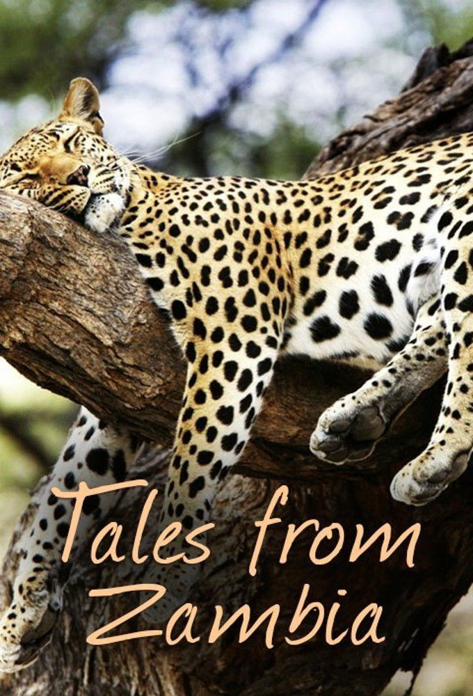 Show Tales from Zambia