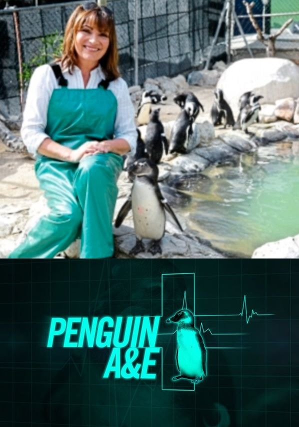 Show Penguin A&E with Lorraine Kelly