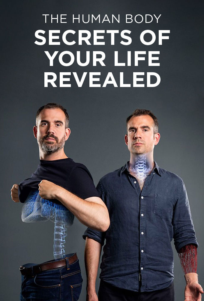 Сериал The Human Body: Secrets of Your Life Revealed