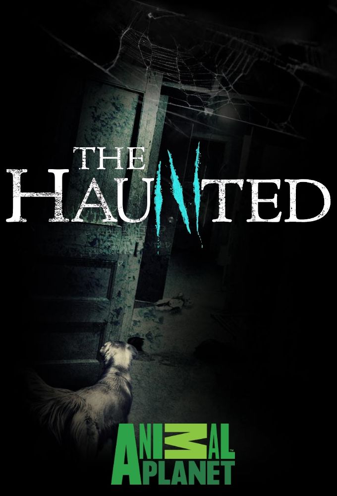 The haunted. Haunted перевод.