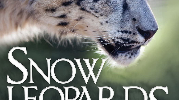 Сериал Snow Leopards of Leafy London