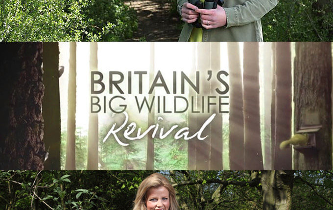 Сериал Britain's Big Wildlife Revival