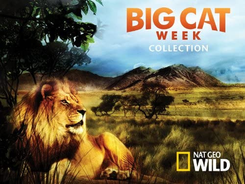 Show Big Cat Week