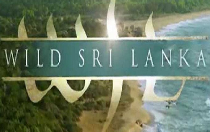 Сериал Wild Sri Lanka