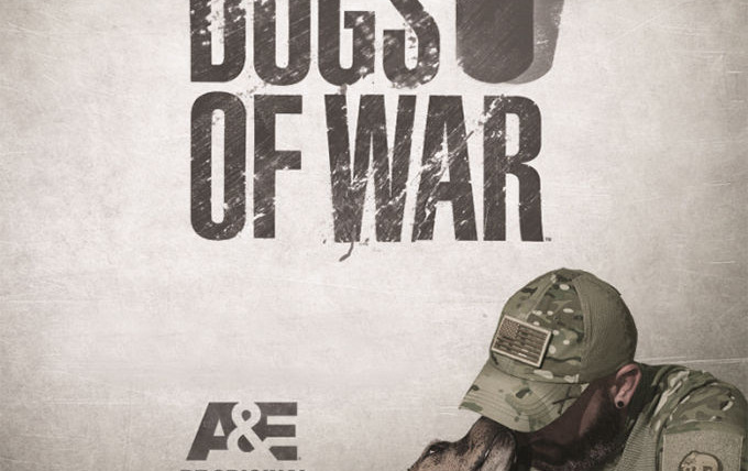 Show Dogs of War