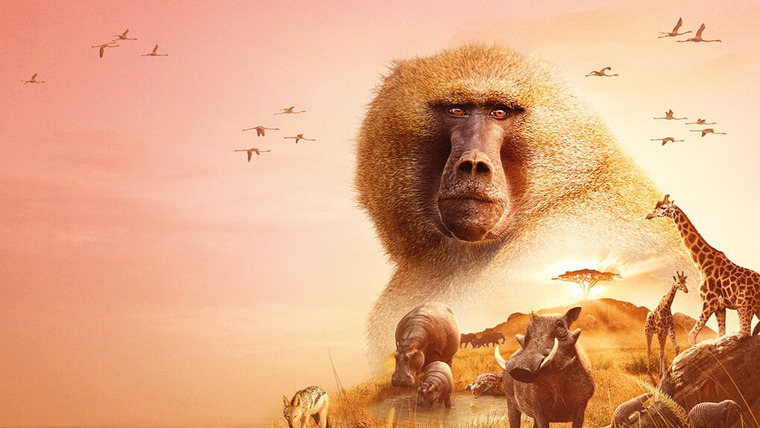 Сериал BBC: Серенгети