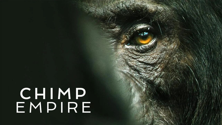 Сериал Империя шимпанзе