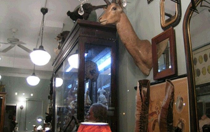 Сериал Магазин диковинок