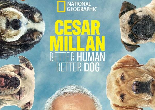 Show Cesar Millan: Better Human Better Dog