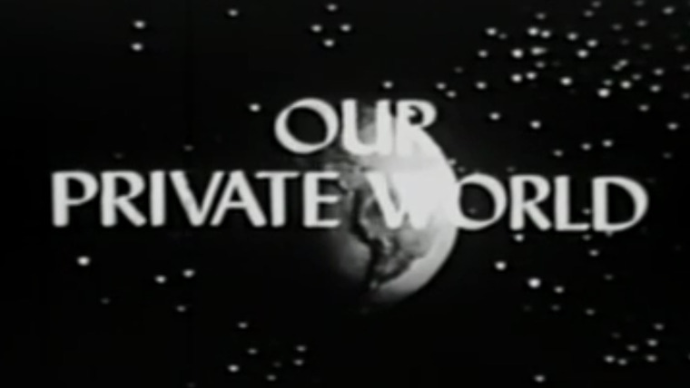 Сериал Our Private World