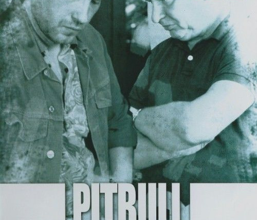 Сериал Pitbull