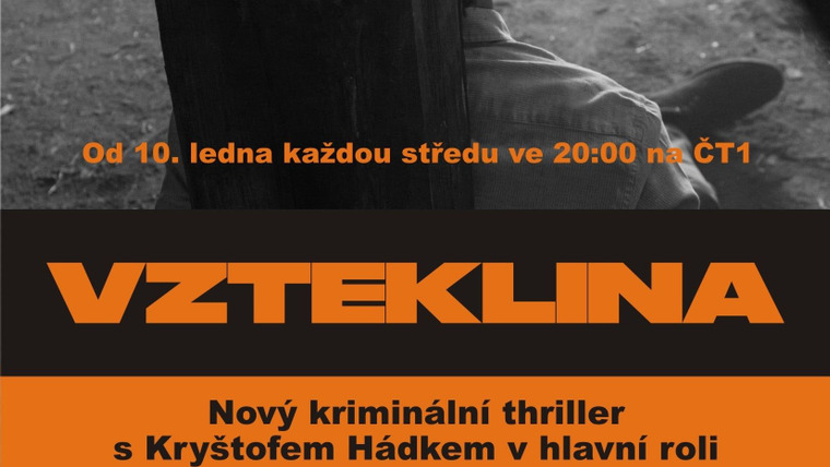 Сериал Бешенство