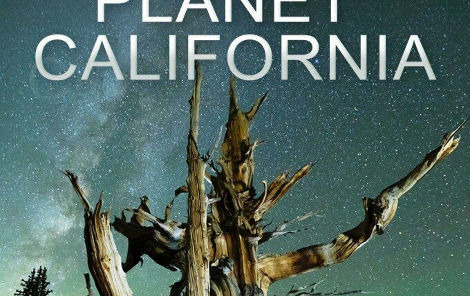 Show Planet California