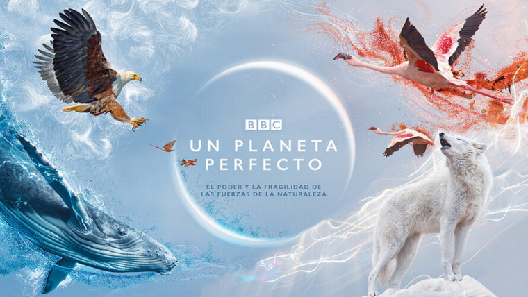 BBC: Идеальная планета