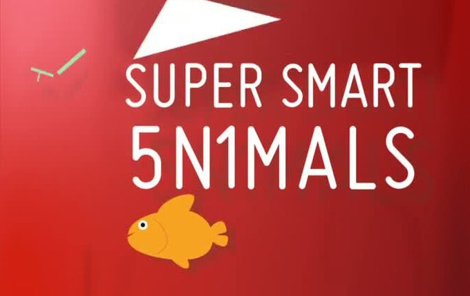 Show Super Smart Animals