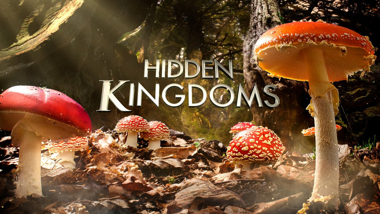 Show Hidden Kingdoms